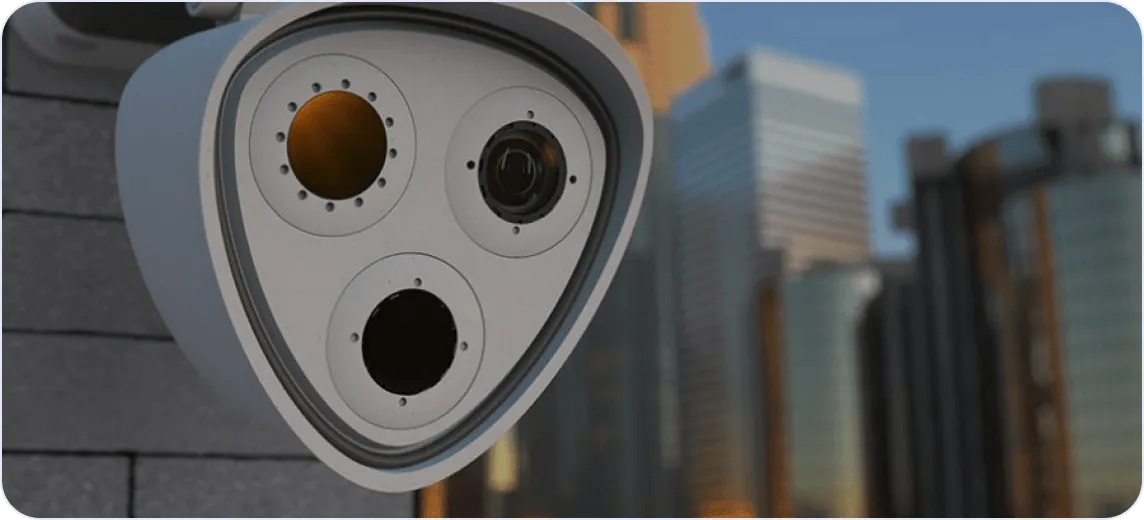 sucsess-story-LMCS-card