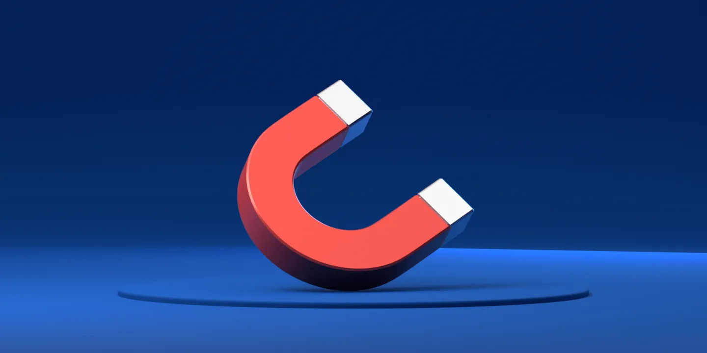 Was ist ein Lead Magnet? Es ist eine Technik um die Kontaktinformationen von Prospects zu erhalten