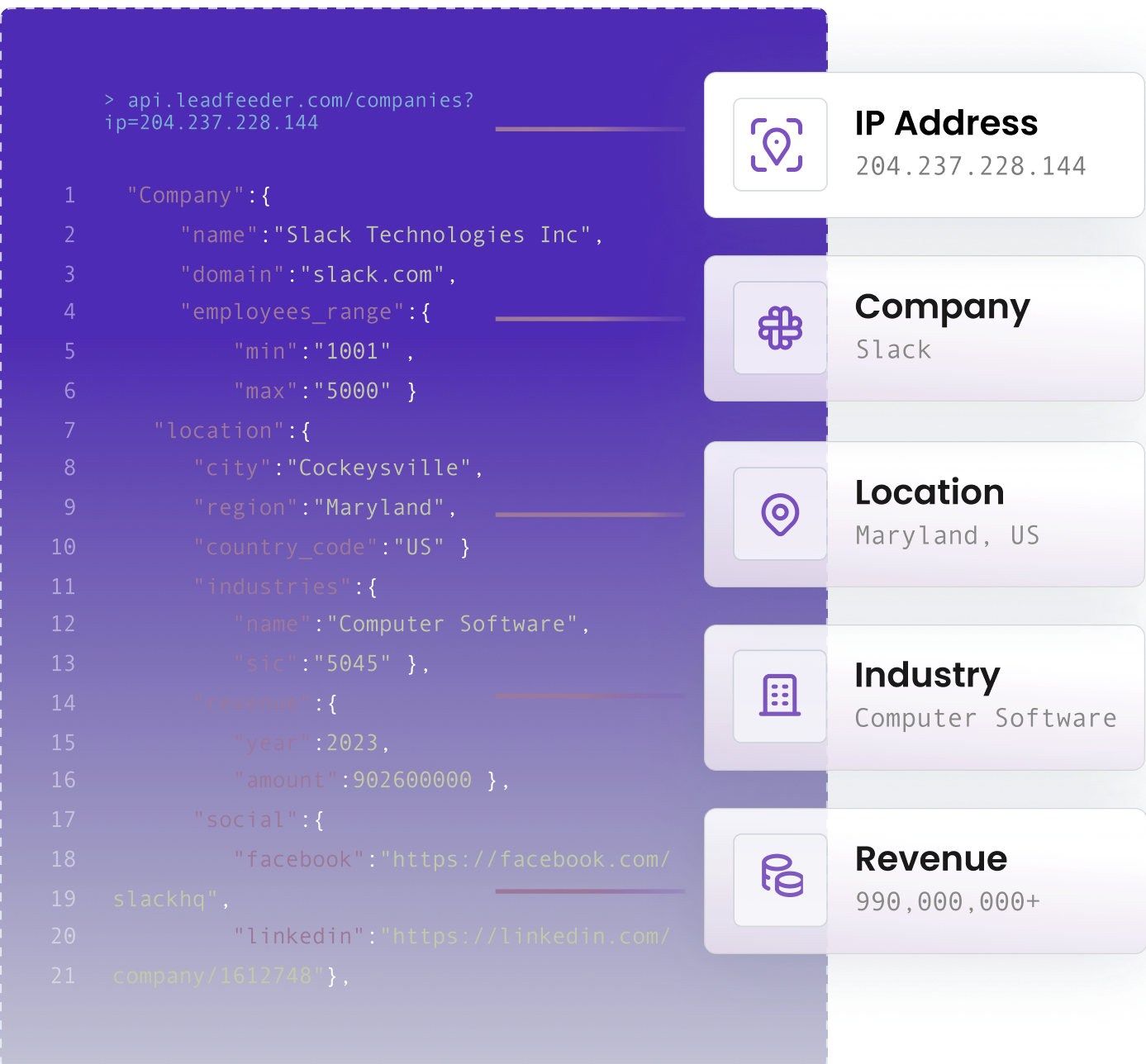 Leadfeeder IP Enrich API header image