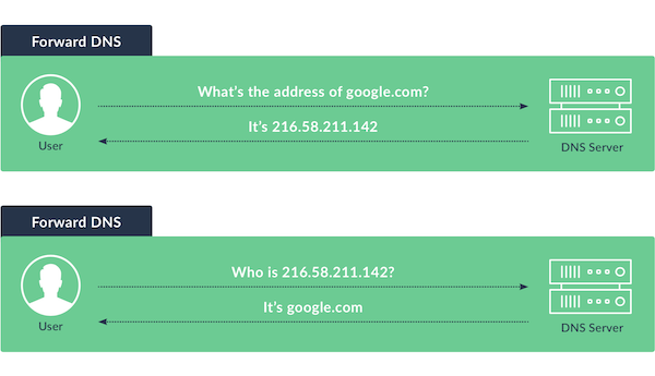 Reverse Domain Name System